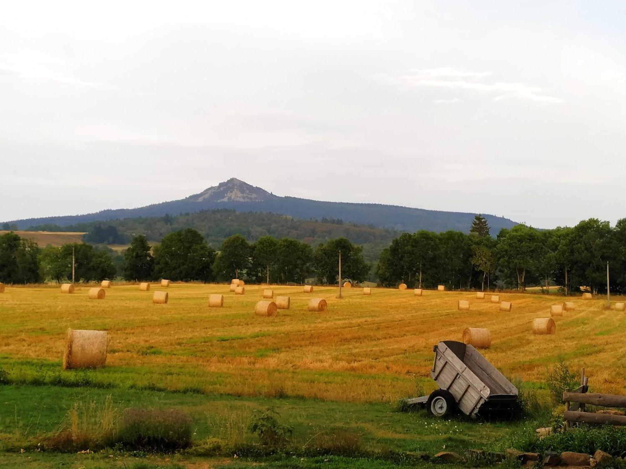 La Ferme De Madelonnet Bed & Breakfast Saint-Jeures Exterior photo